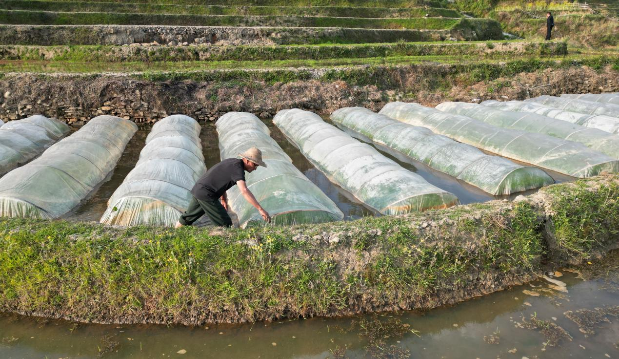 GA�ƽ�ס�(�й�����)�ٷ���վ