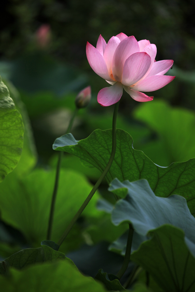 20180122012422380 20180122012422380