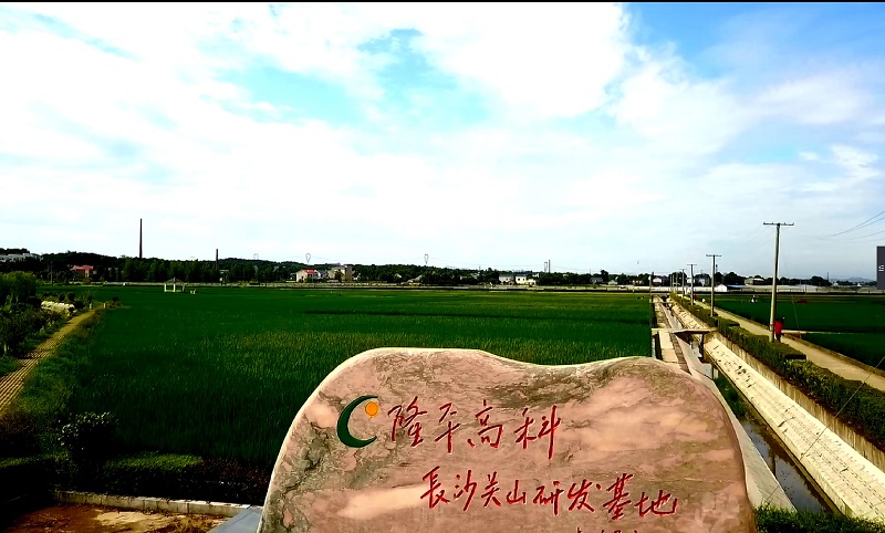 GA�ƽ�ס�(�й�����)�ٷ���վ