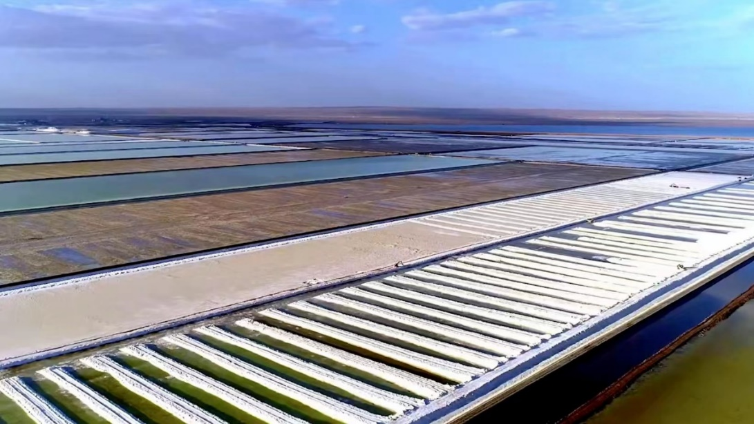 20230208419254.png ͼƬ5.png