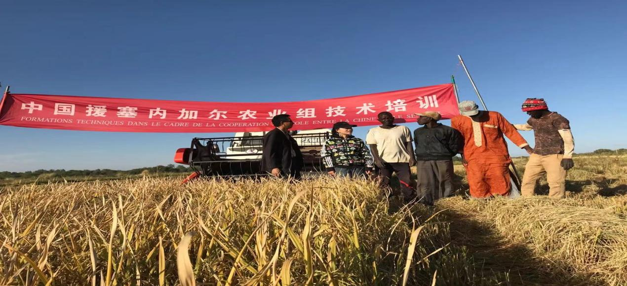 20240417637625.png 图片3.png