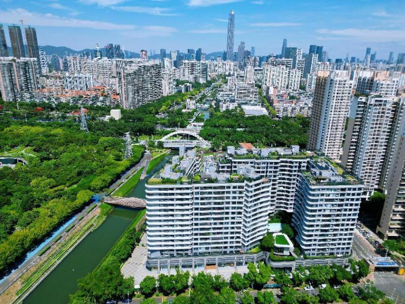 20241126950133.png ͼƬ2.png