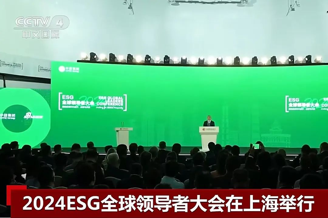 20250102243390.jpeg 28.jpeg