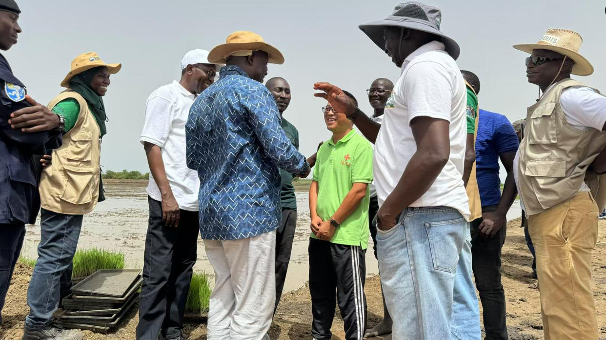 20250310707537.png ¡ƽ4.png