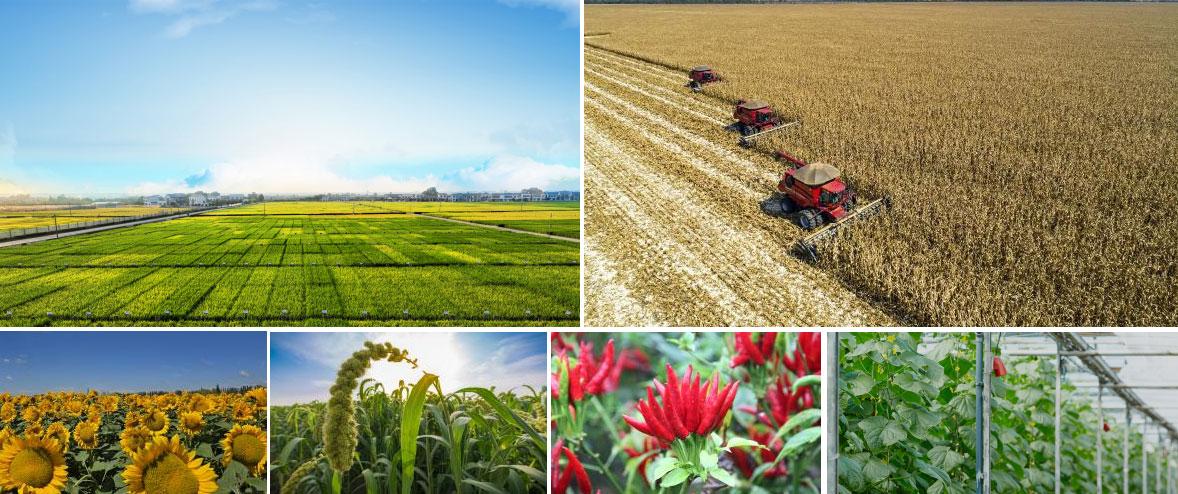 GA�ƽ�ס�(�й�����)�ٷ���վ