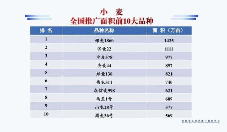 20251001631976.png 图片4.png