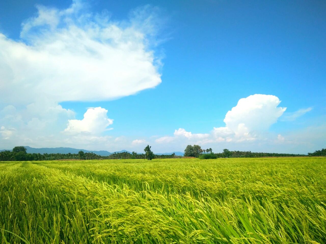 20251229506852.jpg ΢ÐÅͼƬ_2025-12-29_175552_577.jpg